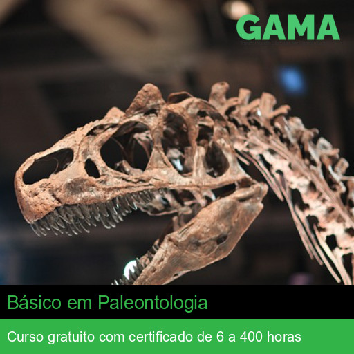 Básico em Paleontologia